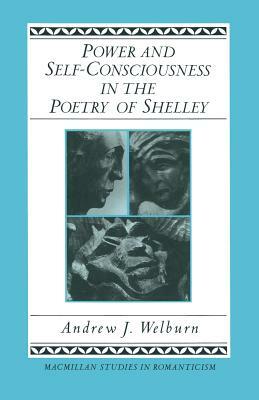 Power and Self-Consciousness in the Poetry of Shelley by Thomas Heinzen, Andrew J. Welburn