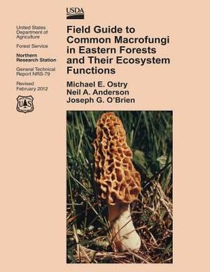 Field Guide to Common Macrofungi in Eastern Forests and Their Ecosystem Functions by United States Department of Agriculture