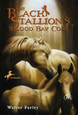 The Black Stallion's Blood Bay Colt: (reissue) by Walter Farley