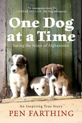 One Dog at a Time: Saving the Strays of Afghanistan by Pen Farthing