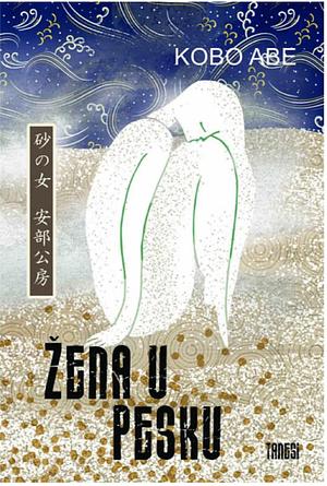 Žena u pesku by Kōbō Abe