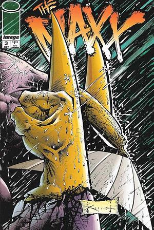 The Maxx #3 by Sam Keith