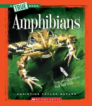 Amphibians (a True Book: Animal Kingdom) by Christine Taylor-Butler