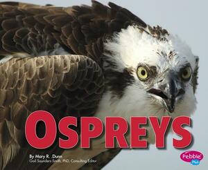 Ospreys by Mary R. Dunn