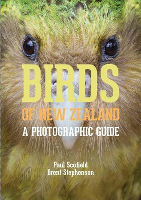 Birds of New Zealand: A Photographic Guide by Brent Stephenson, Paul Scofield