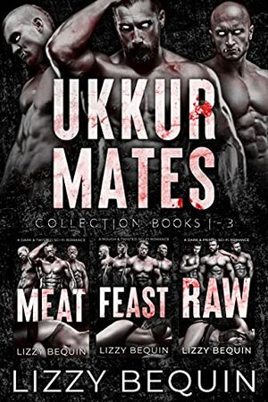 Ukkur Mates Collection: Books 1-3 by Lizzy Bequin