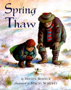 Spring Thaw by Stacey Schuett, Steven Schnur