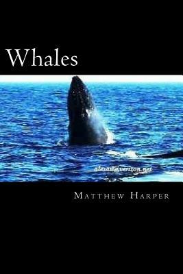 Whales: A Fascinating Book Containing Whale Facts, Trivia, Images & Memory Recall Quiz: Suitable for Adults & Children by Matthew Harper