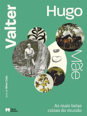 As Mais Belas Coisas do Mundo by valter hugo mãe