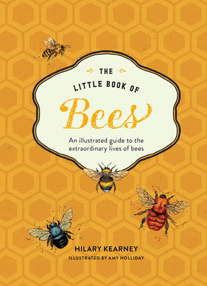 Little Book of Bees: The Fascinating World of Bees, Hives, Honey, and More by Amy Holliday, Hilary Kearney