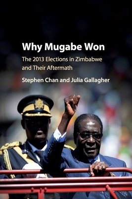 Why Mugabe Won by Stephen Chan, Julia Gallagher