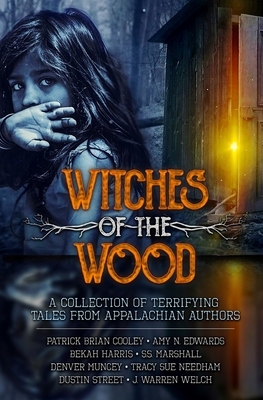 Witches of the Wood by Aimee Renee