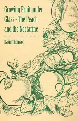 Growing Fruit Under Glass - The Peach and the Nectarine by David Thomson
