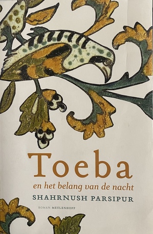 Toeba en het belang van de nacht by Shahrnush Parsipur