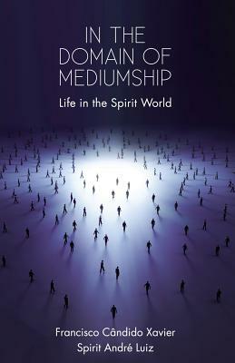 In the Domain of Mediumship: Life in the Spirit World by Andre Luiz, Francisco Cândido Xavier