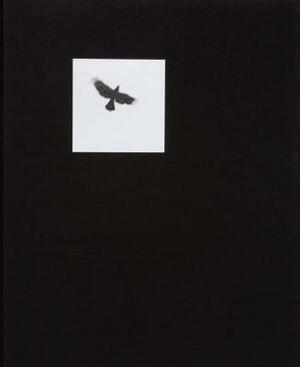 Pajaros by Graciela Iturbide