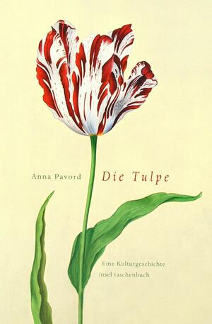 Die Tulpe: eine Kulturgeschichte by Anna Pavord