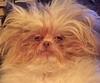 stinky_lo's profile picture