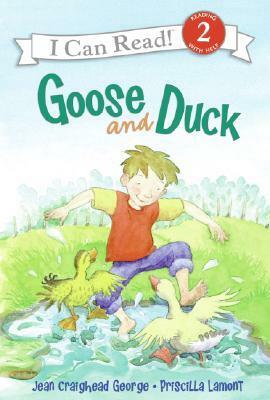 Goose and Duck by Priscilla Lamont, Jean Craighead George
