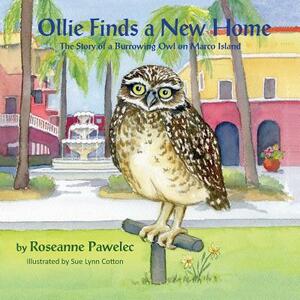 Ollie Finds a New Home, the Story of a Burrowing Owl on Marco Island by Roseanne Pawelec