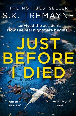 Just Before I Died by S.K. Tremayne