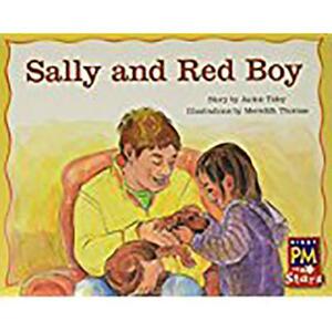 Individual Student Edition Green (Levels 12-14): Sally and Red Boy by Jackie Tidey