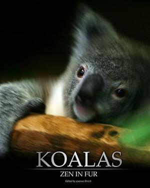 Koalas: Zen in Fur, Bw Edition by Joanne Ehrich