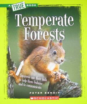 Temperate Forests by Peter Benoit