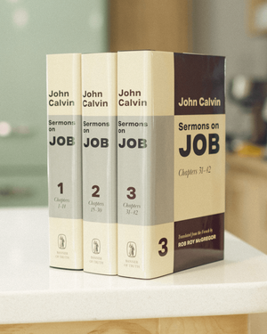 Sermons on Job by John Calvin
