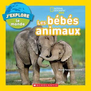 J'Explore le Monde: Les Bebes Animaux = Explore My World Baby Animals by Marfe Ferguson Delano