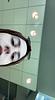 dianthus's profile picture