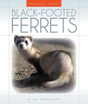 Black-Footed Ferrets by Jody Jensen Shaffer