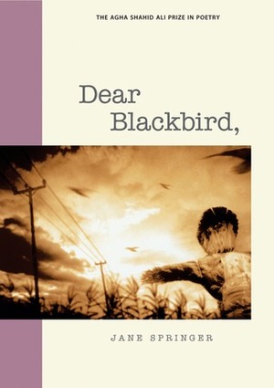 Dear Blackbird, by Jane Springer
