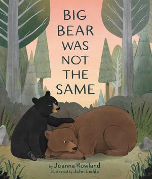 Big Bear Was Not the Same by Joanna Rowland, John Ledda