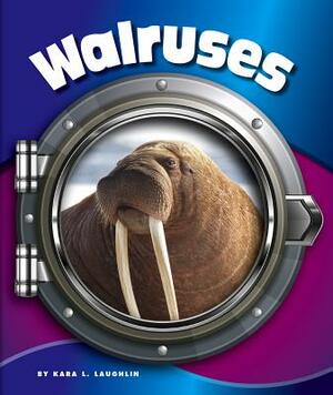 Walruses by Kara L. Laughlin