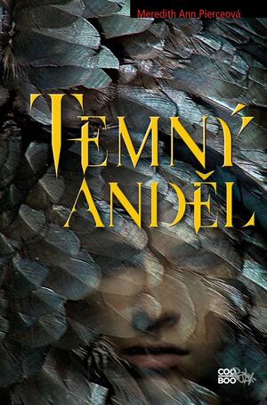 Temný anděl by Meredith Ann Pierce