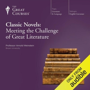 Classic Novels :Meeting the Challenge of Great Literature by Arnold Weinstein
