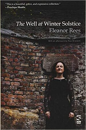 The Well at Winter Solstice by Eleanor Rees, Rosi Braidotti