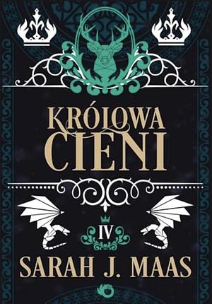 Królowa cieni by Sarah J. Maas