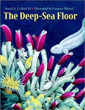 The Deep-Sea Floor by Sneed B. Collard III