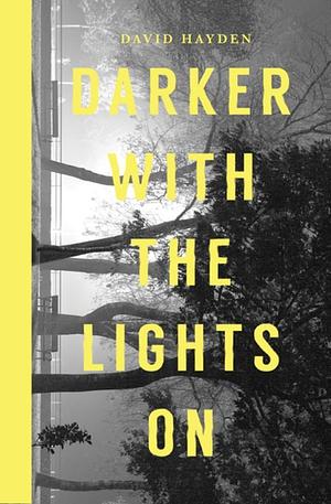 Darker With the Lights On by David Hayden, David Hayden