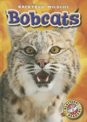 Bobcats by Megan Borgert-Spaniol