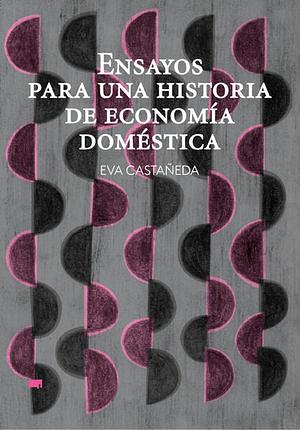 Ensayos para una historia de economía doméstica by Eva Castañeda