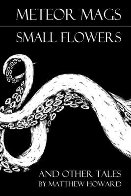 Meteor Mags: Small Flowers and Other Tales by Matthew Howard
