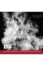 A Blade So Black by L.L. McKinney