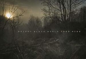 Bright Black World by Alexander Nemerov, Todd Hido