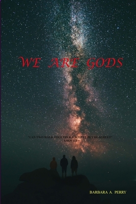 We Are Gods by Barbara Perry