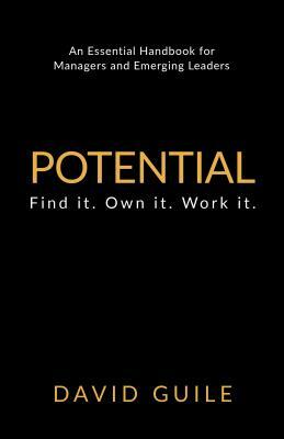 Potential: Find It. Own It. Work It. by David Guile