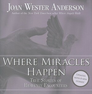 Where Miracles Happen: True Stories of Heavenly Encounters by Joan Wester Anderson