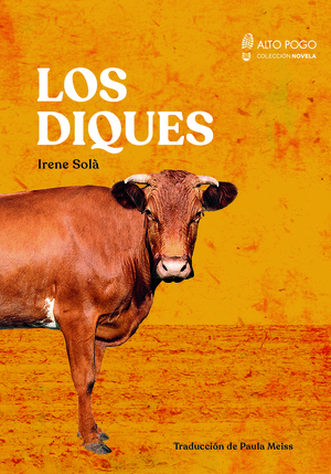 Los diques by Irene Solà